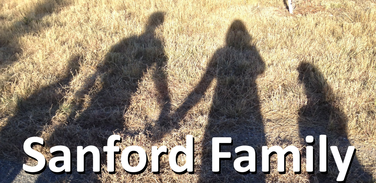 Sanford Family Blog